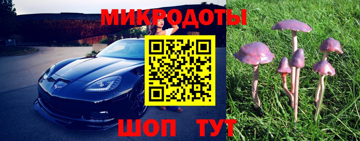 Галлюциногенные грибы прущие грибы  закладки  Кохма  Псилоцибиновые грибы GOLDEN TEACHER  Вход с VPN 